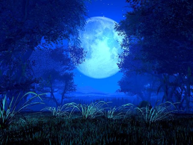 blue moon wallpaper over trees