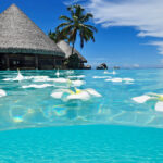 Paradise-Beach-Summer-Wallpaper