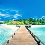 beautiful-summer-desktop