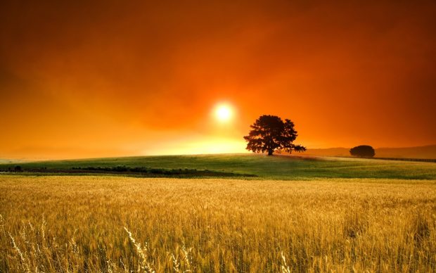Country Sunset Wallpaper HD free download.