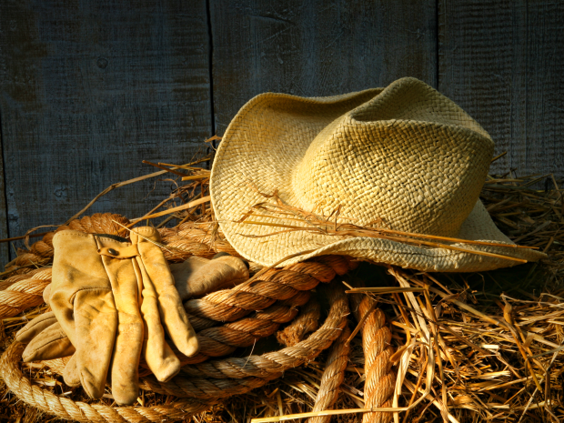 Gloves and straw hat wallpaper.