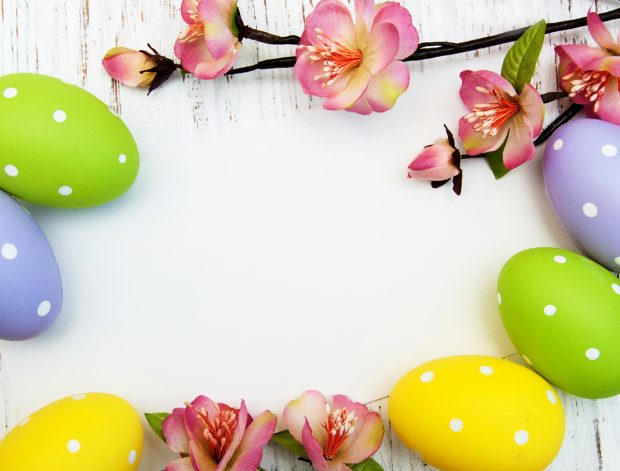 Beautiful Holiday Easter Background WideScreen