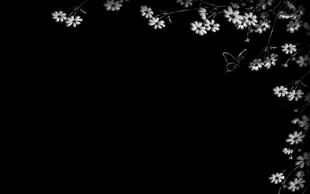 Black and white flowers wallpaper HD.