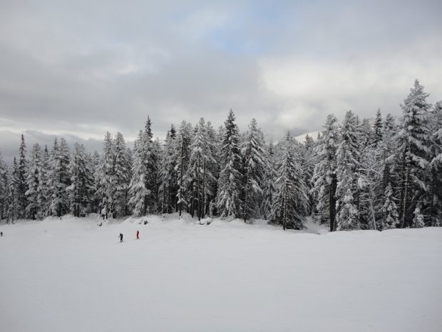 Blue winter background.