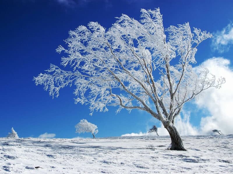 Winter Backgrounds for Desktop - PixelsTalk