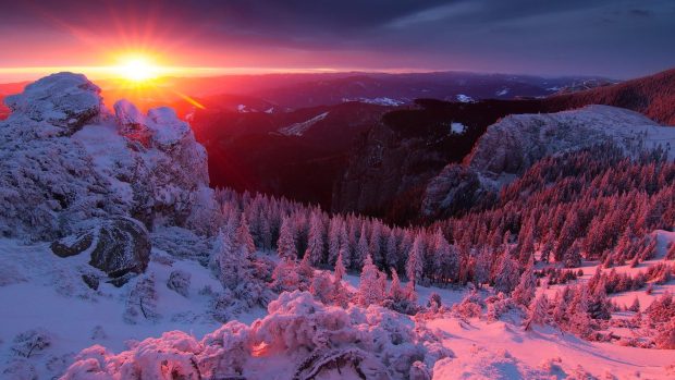 Download Winter Landscape Image.