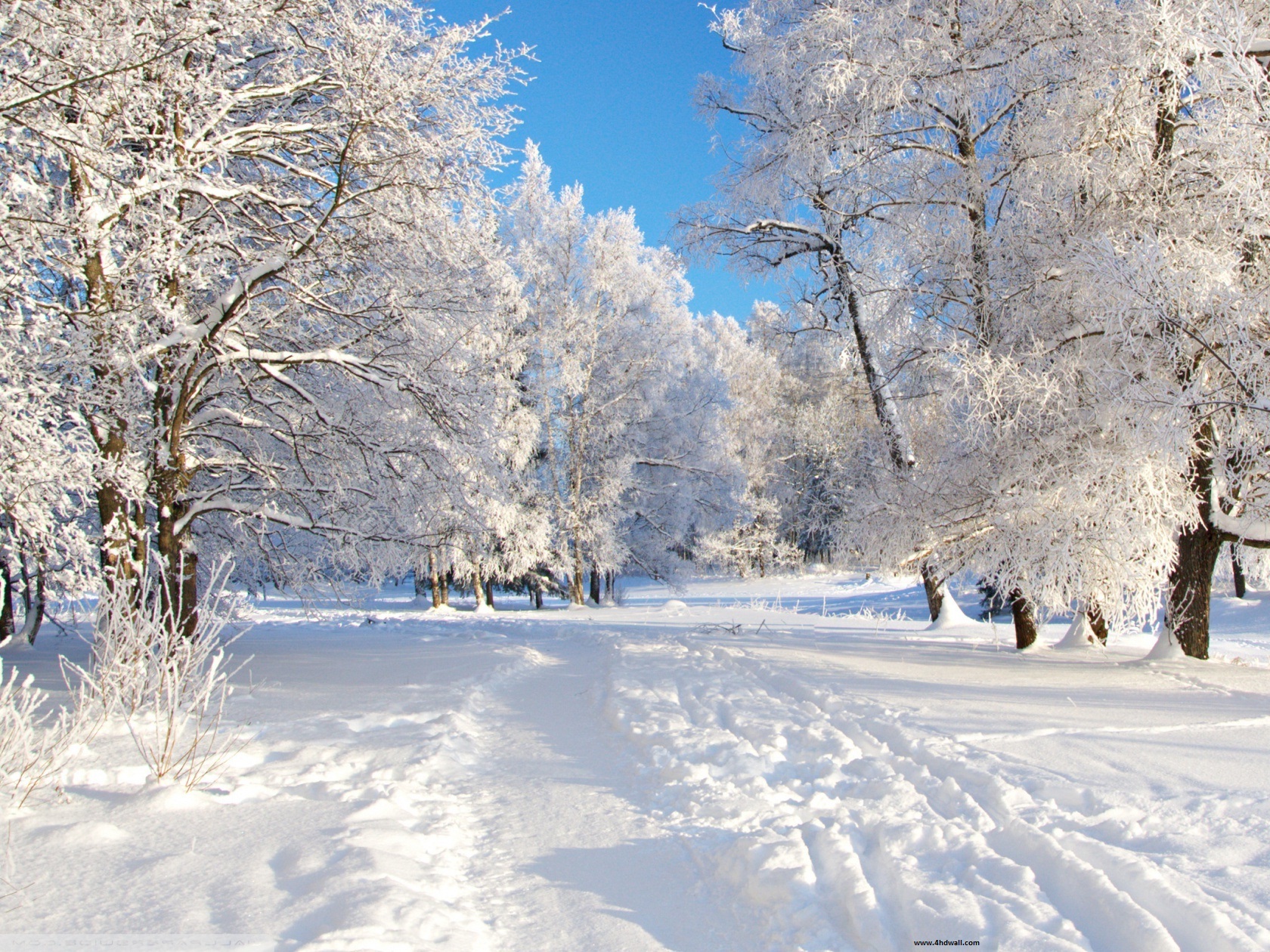 Beautiful Free Winter Wallpaper and Winter Desktop Backgrounds