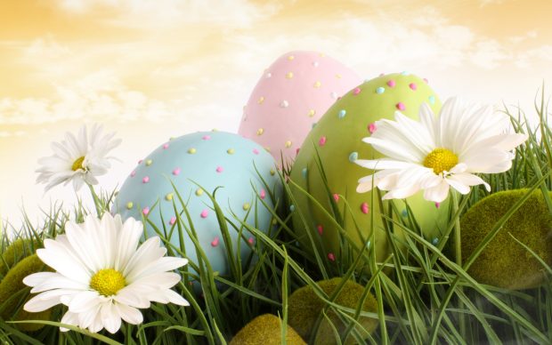 Easter Screensavers Background HD