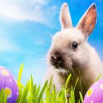 Easter Wallpaper HD free