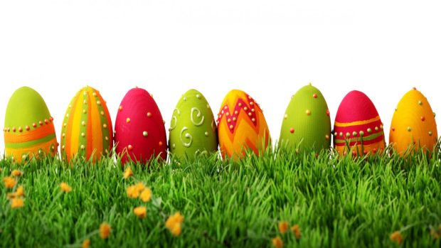 Easter egg backgrounds