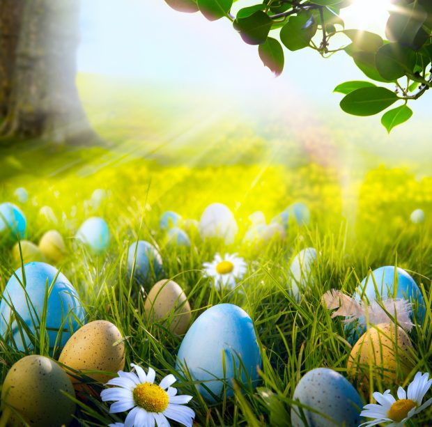 Easter holiday eggs spring wallpaper