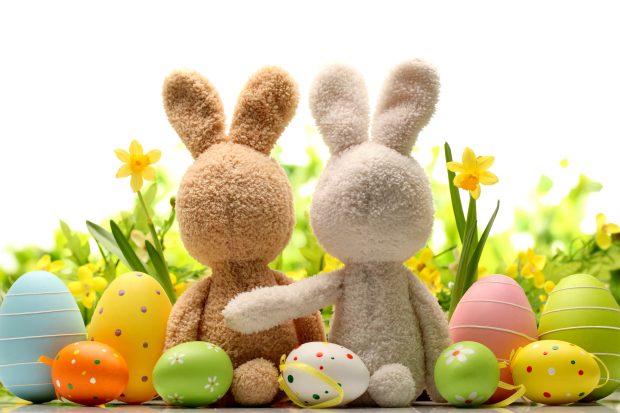 Holiday Easter Background WideScreen