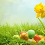 Holidays Easter Eggs and yellow flower