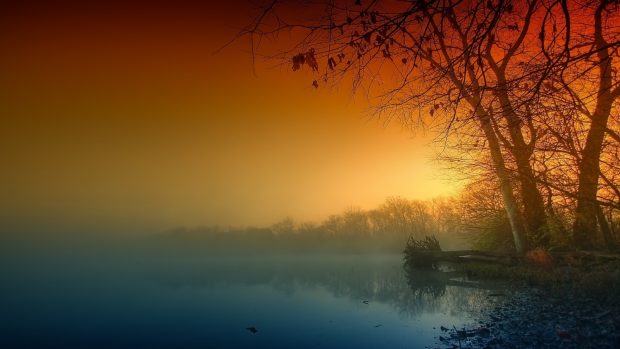 Mac wallpapers HD trees fog haze pairs orange terribly gloomy lake autumn coast branches naked.