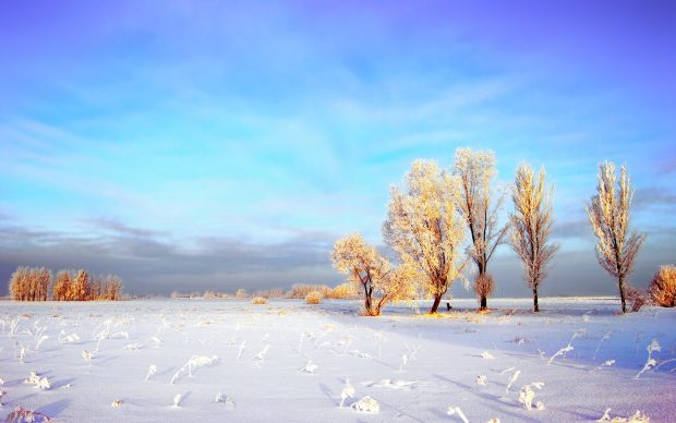 Snowy winter landscape wallpapers