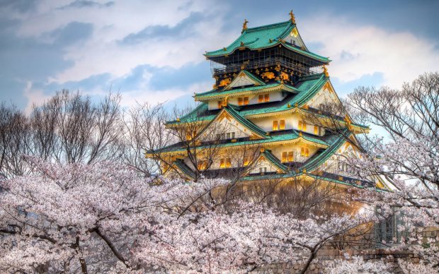 Spring Osaka Castle Japan wallpaper