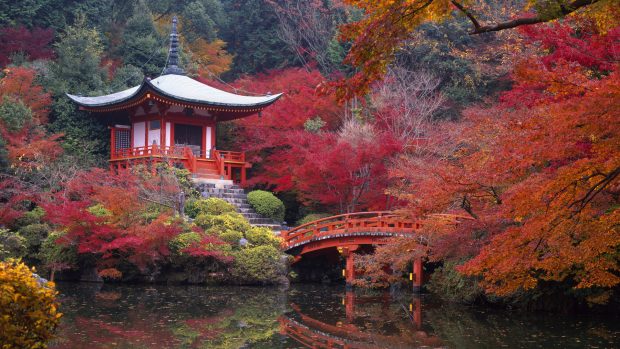Spring in Japan wallpapers hd