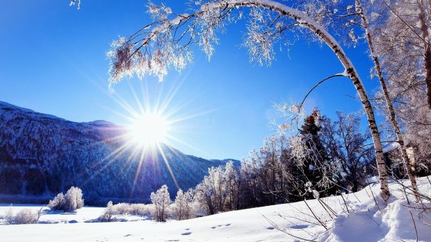 Sunlit winter landscape wallpaper