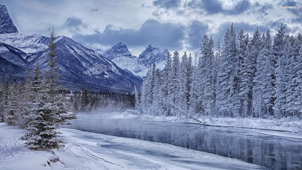 Superb winter landscape hd download