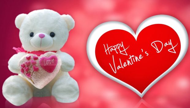 Valentine day teddy bear gifts.