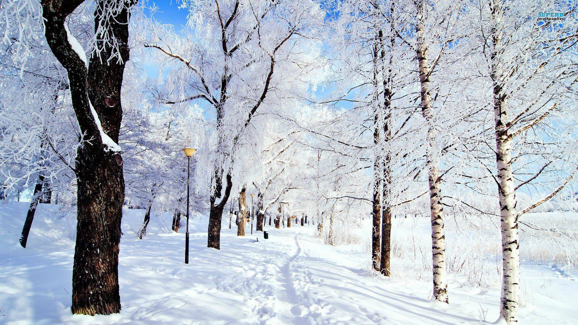 Winter Backgrounds Download Free for Desktop 
