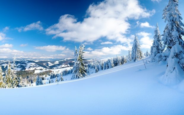 Winter Background HD.