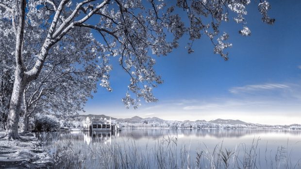 Winter Background Landscape.