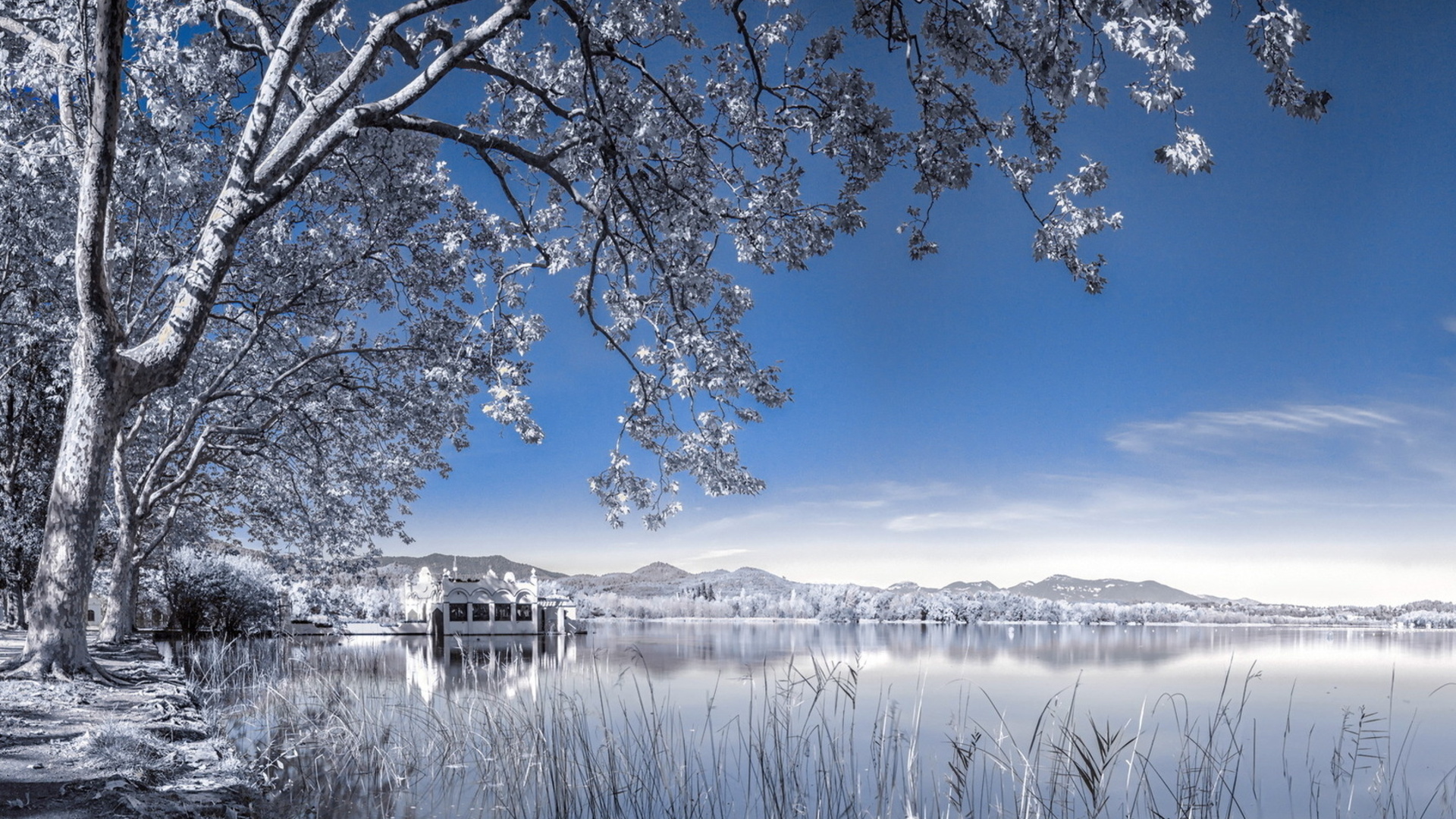 Winter Background Landscape PixelsTalkNet