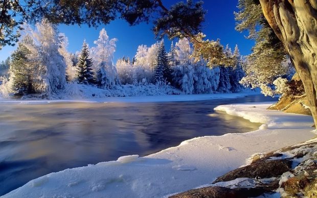 Winter Landscape Wallpaper HD