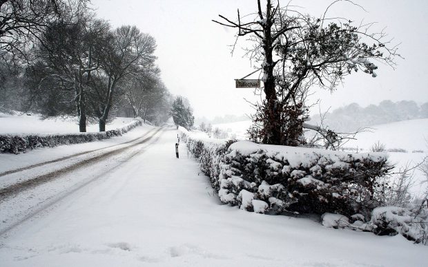 Winter Widescreen Background.