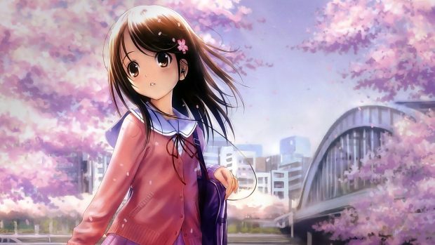 Anime Wallpapers HD download free.