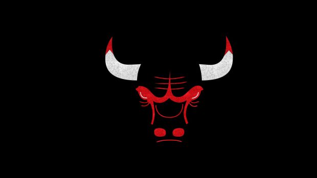 Chicago Bulls Art Photo.