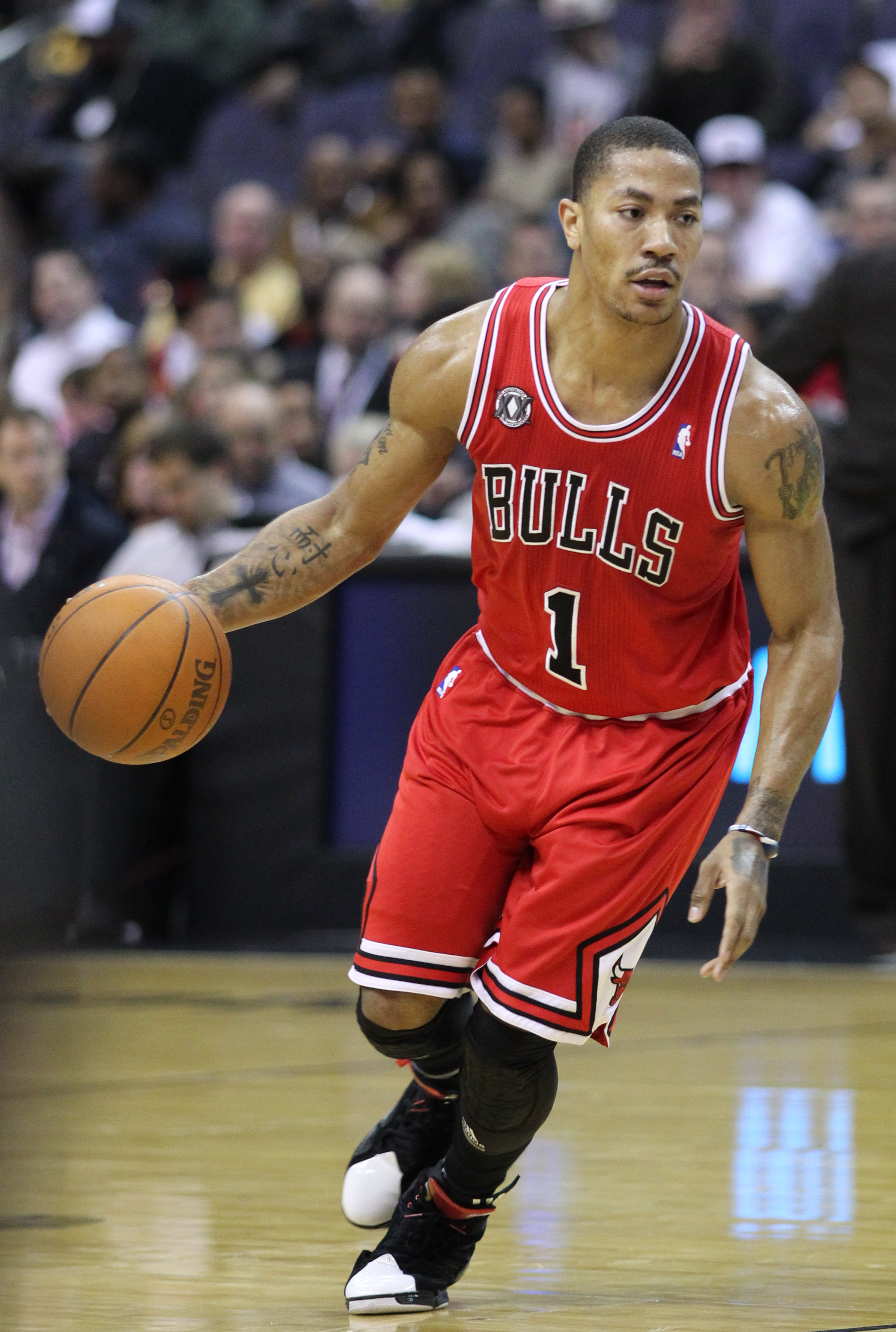 Chicago Bulls Derrick Rose Wallpaper Background 61960 2560x1440px