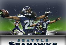 Download Free Seattle Seahawk Wallpapers HD.