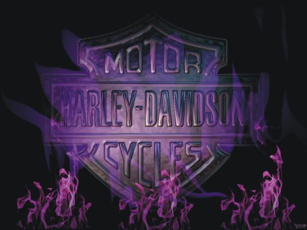 Harley Davidson Logo.