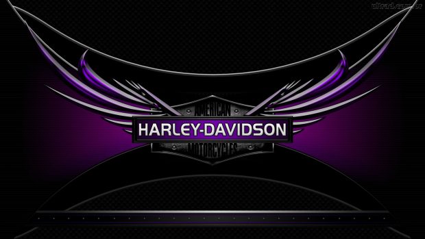 Harley Davidson Logo Background for desktop.