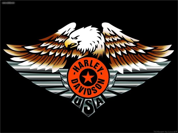 Harley Davidson Logo Eagle.