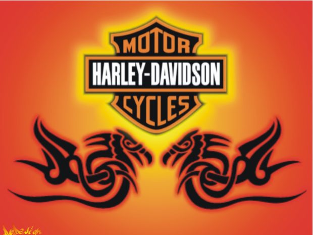 Harley Davidson Logo HD Wallpaper.