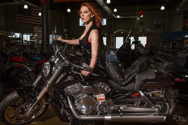 Hot Harley Davidson Passion.