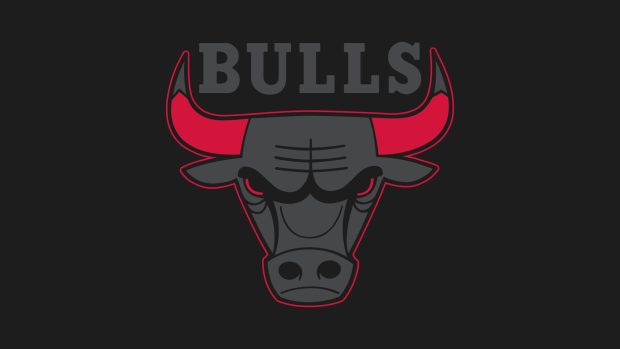 Logo Chicago Bulls Wallpaper HD.