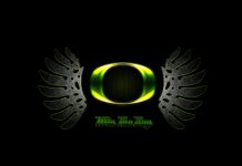 Oregon Ducks Logo Win the Way Wallpapers HD.