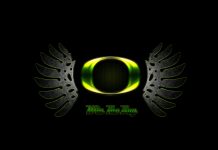 Oregon Ducks Logo Win the Way Wallpapers HD.