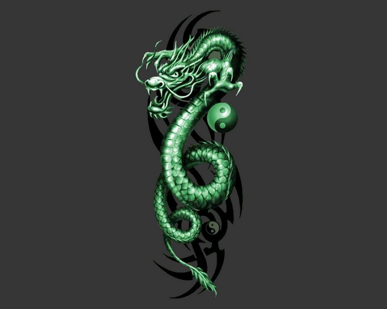 Green Dragon Wallpapers  Top Free Green Dragon Backgrounds   WallpaperAccess  Full hd wallpaper Desktop wallpaper Hd wallpaper