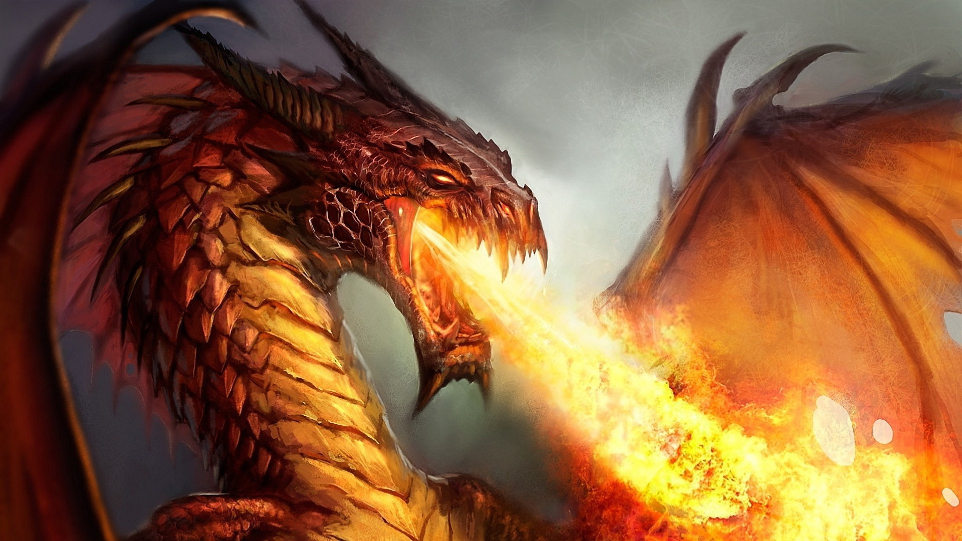 47 Red Dragon Wallpaper HD  WallpaperSafari