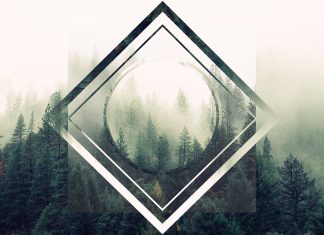 Hipster Wallpaper Concept Trees.