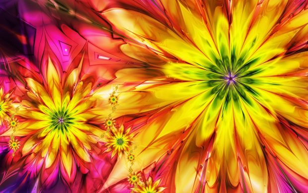 Abstract colorful flowers wallpaper HD picture.