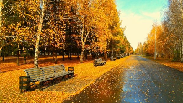 Autumn wallpaper HD road.