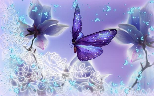 ★purple Butterflies Sparkling★ Wide Desktop Background
