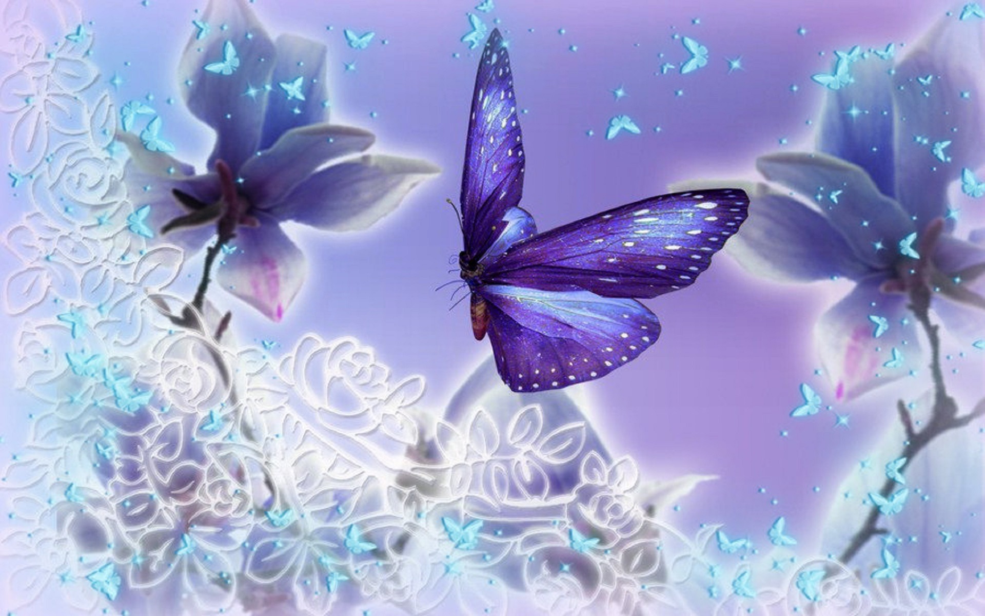 Butterfly Backgrounds free download 