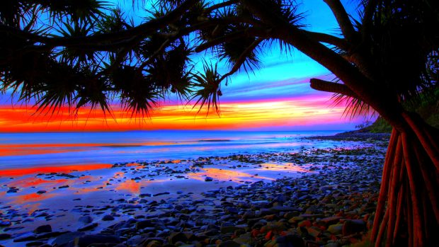 Backgrounds wallpaper sunset beach.